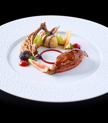Holub à la Bruant ortolan - Zitkov gourmet restaurace v centru Prahy
