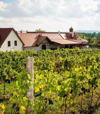 Exkluzivn vno Salabka - Zážitková restaurace v Praze